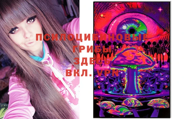 шишки Балахна