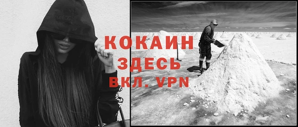 шишки Балахна